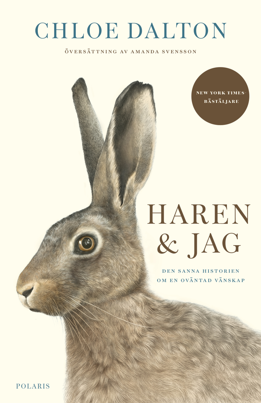 Bokomslag med en tecknad hare, titeln "Haren & jag" och författarnamnet Chloe Dalton.