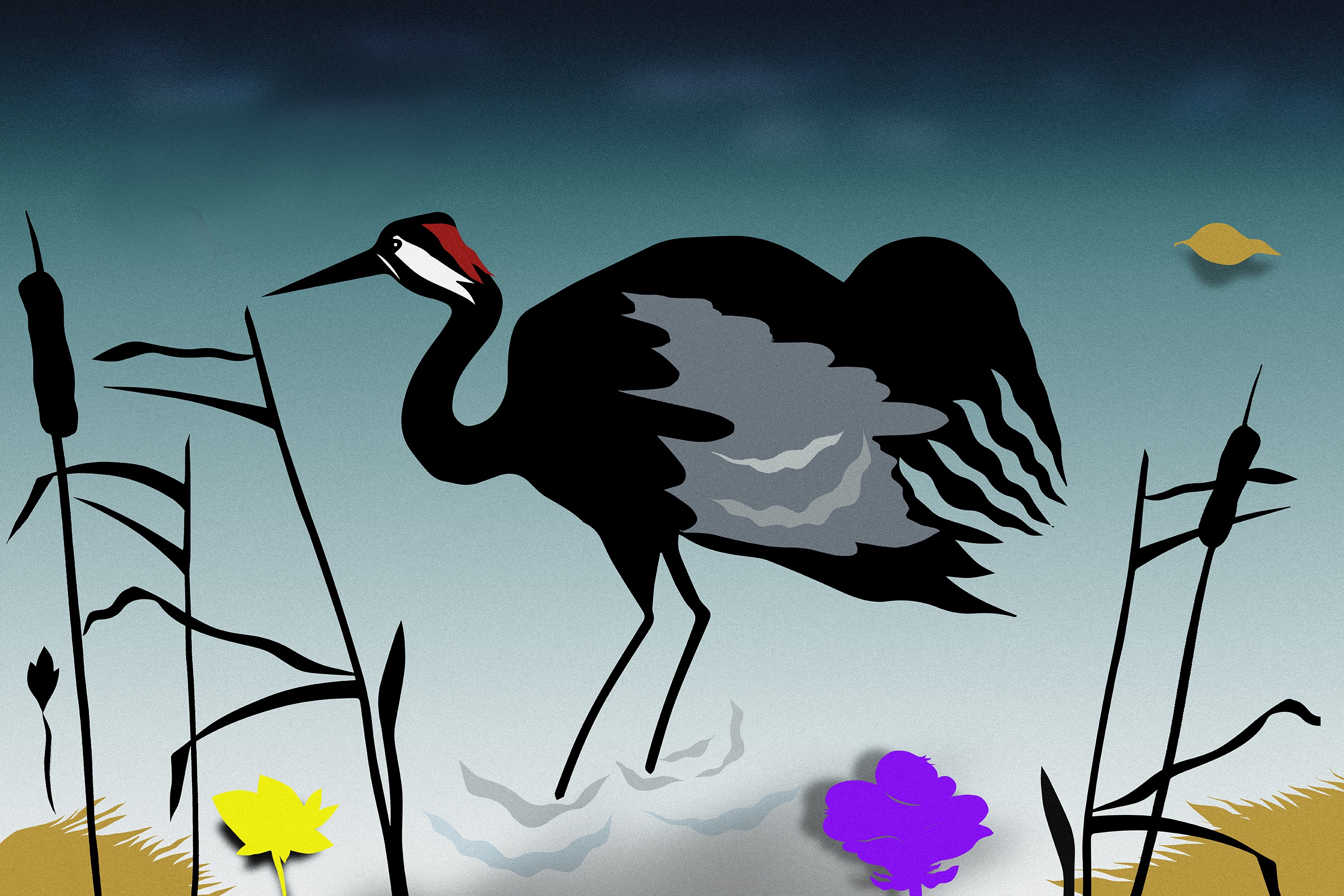 En illustration av en svart och grå fågel omgiven av vass, och en blå himmel i bakgrunden.