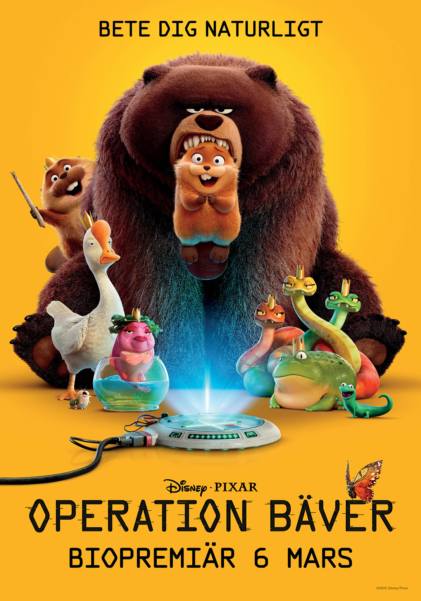 Operation Bäver