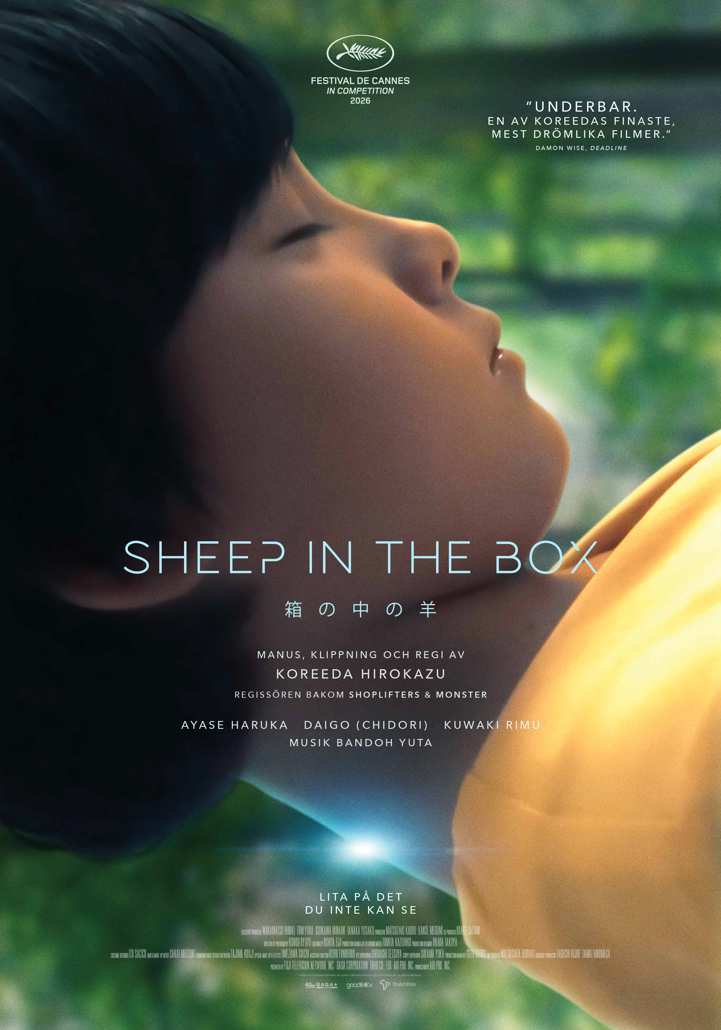 Sheep in the Box