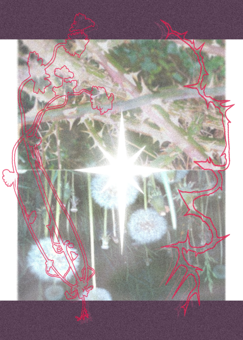 Abstrakt collage av växter, rosa linjeteckningar och ett starkt vitt ljus i mitten.