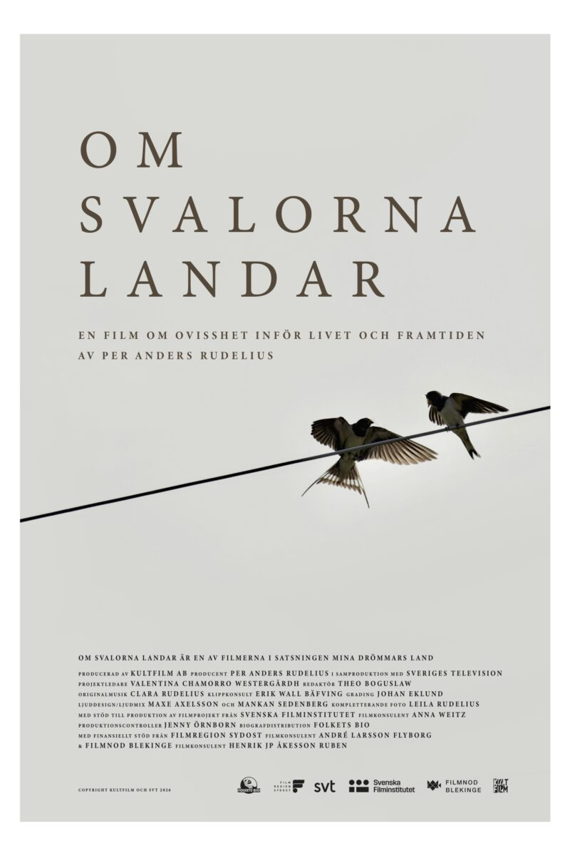 Om svalorna landar poster