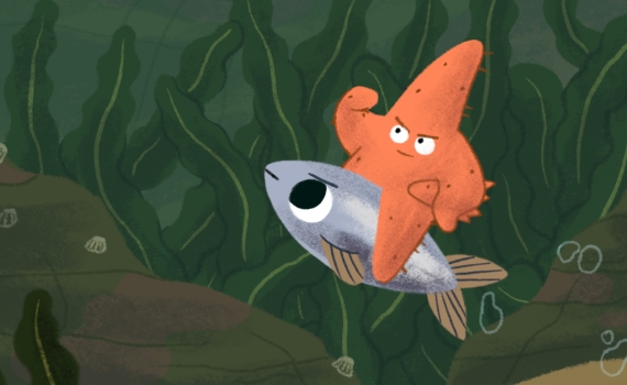 En sjöstjärna och en fisk ser arga ut