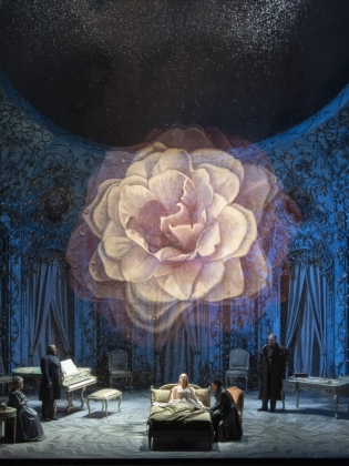 En blå scen med en rosa ros