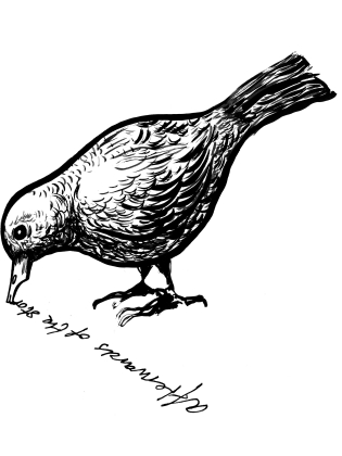 Illustration av en fågel som ser ut att skriva en text med näbben. 