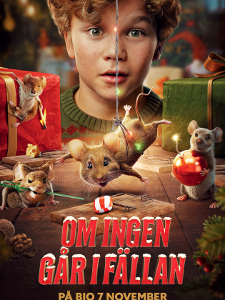 En liten pojke tittar förvånat på möss som leker.