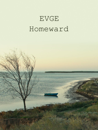 En tom eka ligger vid en karg strandkant.