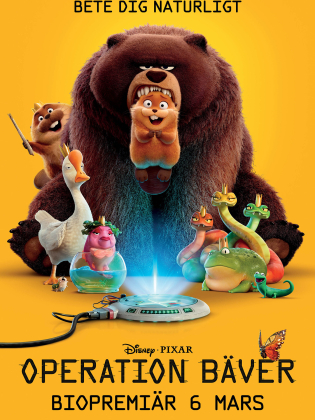 Operation Bäver (2026)