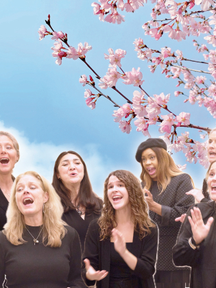 En kör sjunger framför körsbärsträd i blom