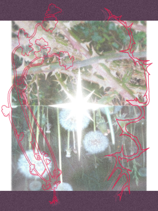 Abstrakt collage av växter, rosa linjeteckningar och ett starkt vitt ljus i mitten.
